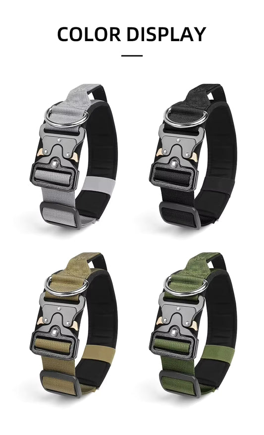 Wag Oasis Solid Dog Collar